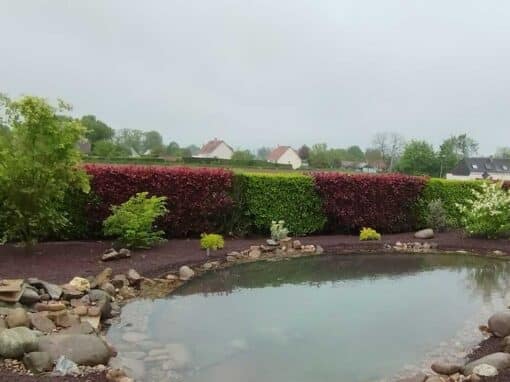Création d&rsquo;un Bassin d&rsquo;Ornement à Yerville
