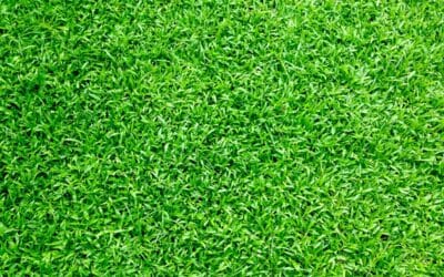 Entretien de Printemps : Planifiez dès maintenant la renaissance de votre piscine et de votre jardin en Normandie