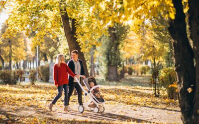 Préparation de Votre Jardin pour l’Hiver : Taille, Élagage et Abattage en Octobre